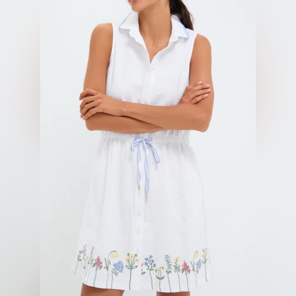 Tuckernuck Sport Golf Dress